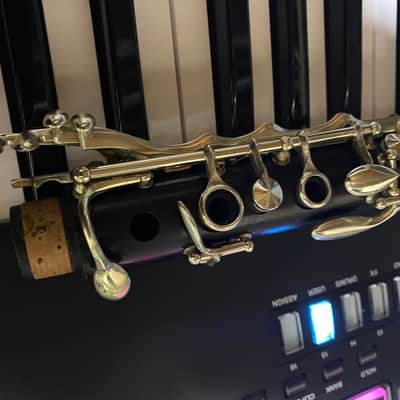 Buffet Crampon Master Model Evette Schafer - Wood image 17
