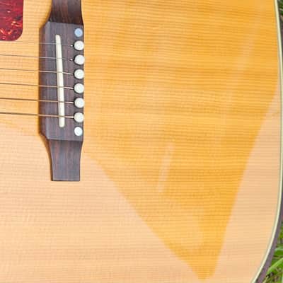 Gibson NOS RARE J-50 1950's NAMM Show Certificate Electric 4lbs 3oz image 13