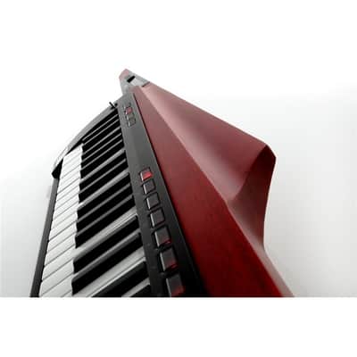Korg RK-100S2-RD image 5