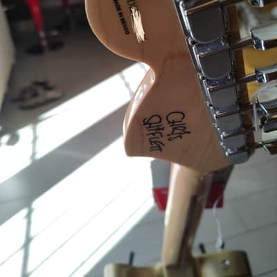Fender Chris Shiflett Artist Series Signature Telecaster Deluxe 2016 - Present - Shoreline Gold image 4