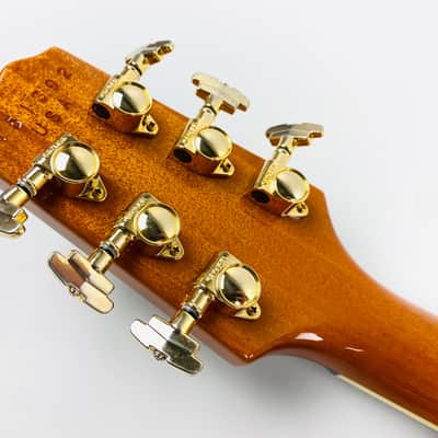 Hamer Sunburst: One of a Kind: Hamer Fan Club. 2001 Natural image 9