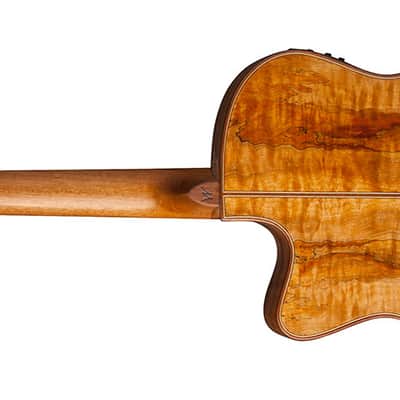 Washburn WCG66SCE Comfort Series Grand Auditorium with Electronics image 12