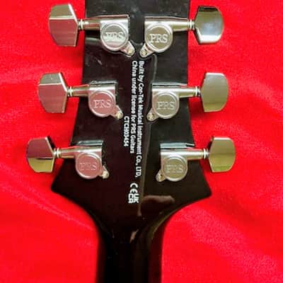 PRS Semi Hollow 2024 - Dog Hair image 3