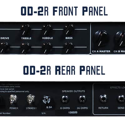 Carol-Ann OD2r Head image 2