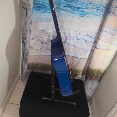 Ashthorpe B24 2025 - Blue blackburst image 11