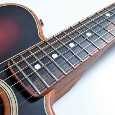 Fender Acoustason Telecaster image 6