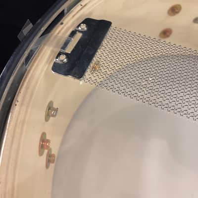 DW/PDP - 5.5x14" PDCM5514SS Concept Maple Snare Drum 2010's - Pearlescent White Lacquer image 12