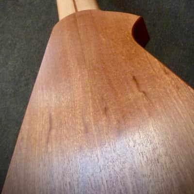 Dragonfly DF10-A (Acoustic/Electric Chapman Stick) image 19