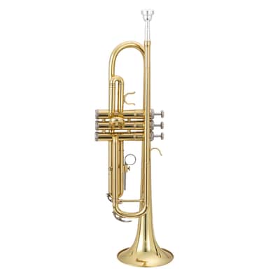 🎅🎄 For Pros and Beginners! Gold (Brass) Unmarked Trumpet with Case/Bag/Pack +Strap +Cloth! image 5