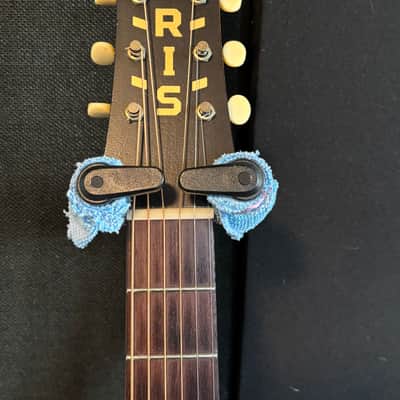 Iris Guitars OG 2021 - Old Growth Woods(1 3/4" nut) image 12