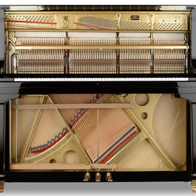 PETROF ANT. PROF 136 CONCERT UPRIGHT PIANO Premier Upright/Grand style image 6