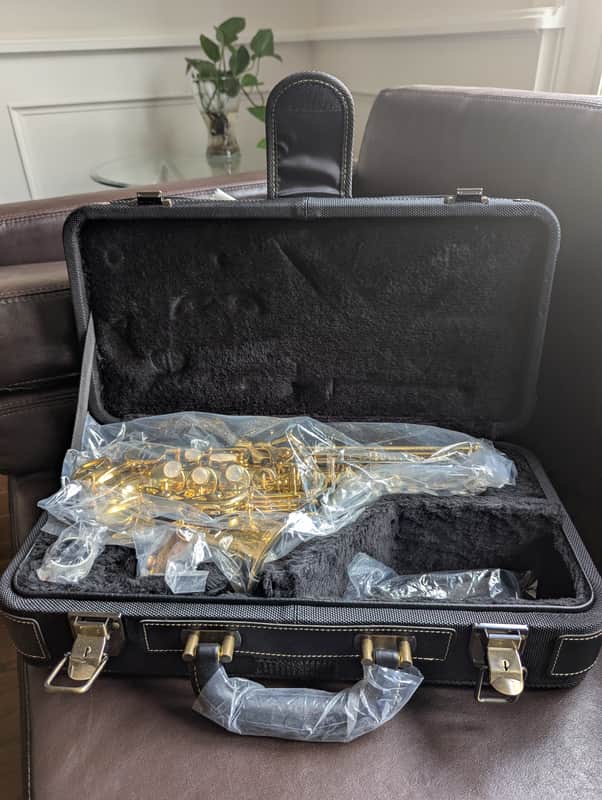 Yanagisawa sc-wo10 2025 - gold image 1