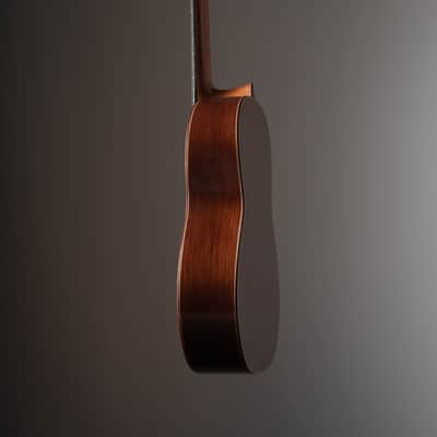 Wolfgang Jellinghaus Alemana EF Doubletop CD/CD CD/AR - French Polish image 7