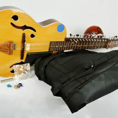 Handmade MohanVeena String Musical Instrument Professional Classical Plucked Slide Guitar image 4