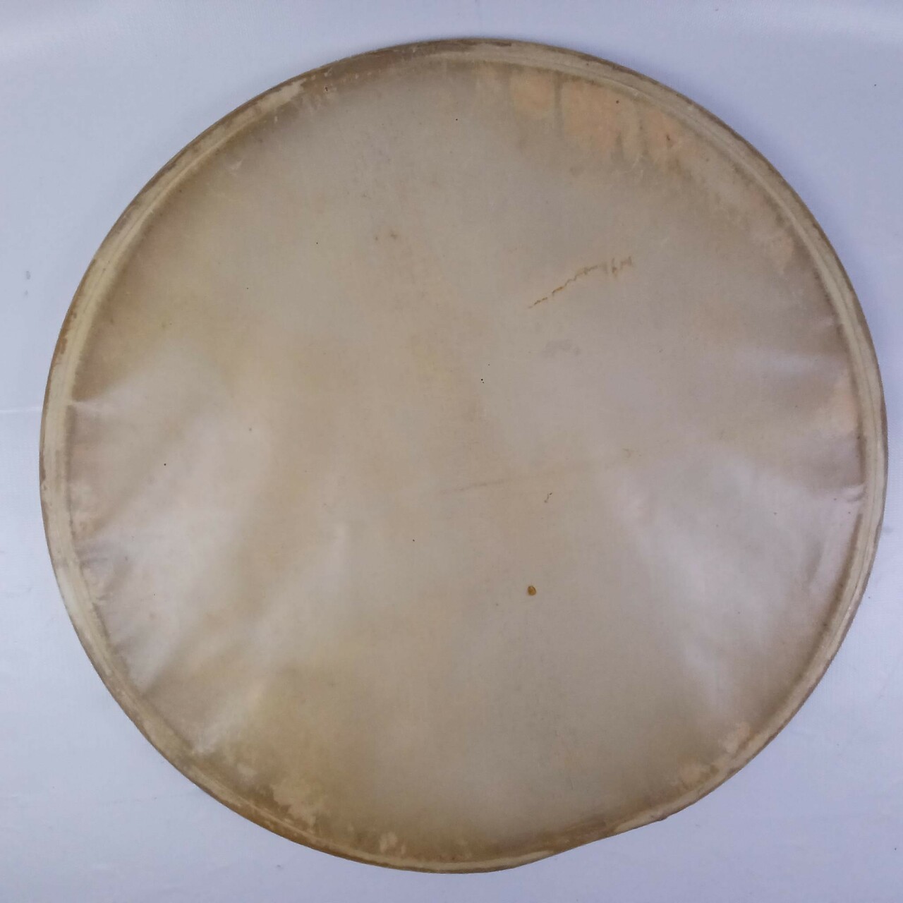 Ludwig 15"Resonant Slunk Genuine Calf Skin Snare Drum Parade/Concert Head 40s US — main photograph