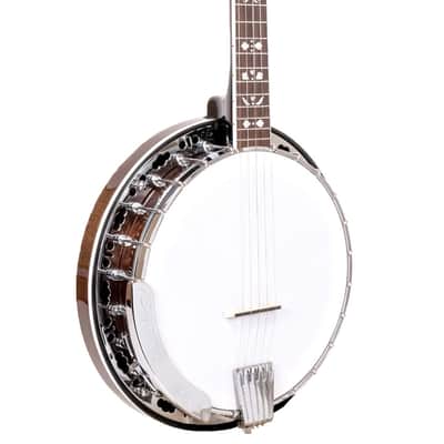 Gold Tone BG-150F Bluegrass Banjo W/ Flange and Bag image 2