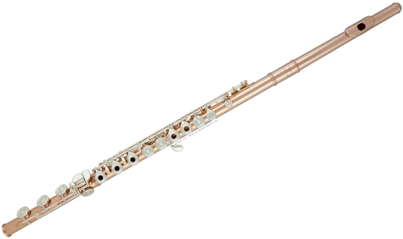 Sonare PS55BEF PS-505 500 Series Flute w/ B Footjoint image 1