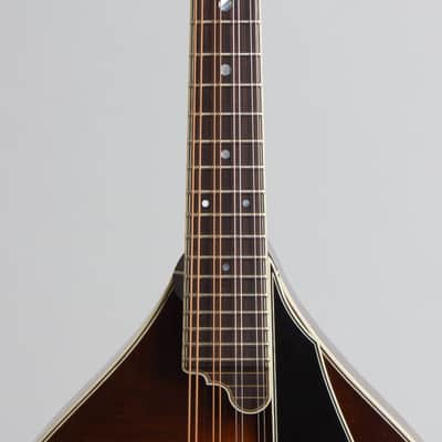 Northfield  NFMSP-A5 Carved Top Mandolin (2025), ser. #ASM240172, molded hard shell case. image 8