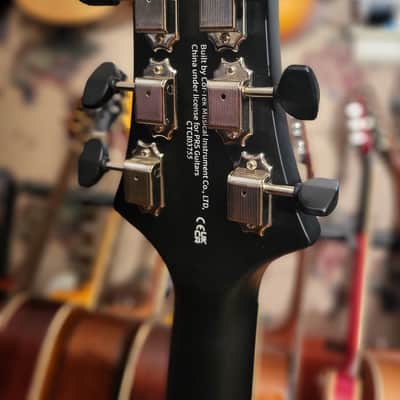 PRS  SE P20 Parlor Acoustic-Electric Guitar - Dog Hair 2025 image 13