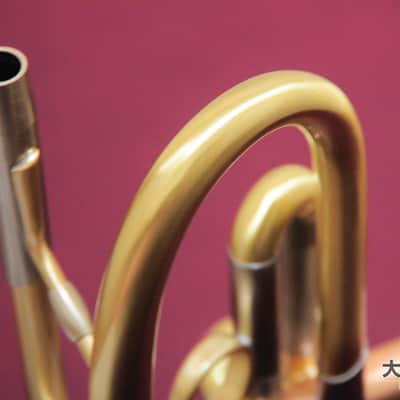 LOTUS Lotus LEAD/SOLO Brushed Lacquer (New) B♭ Trumpet image 14