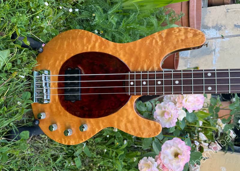 エレキベース MusicMan Stingray 4st 20th Anniversary Ernie Ball Music Man 20th Anniversary StingRay 4 | Reverb