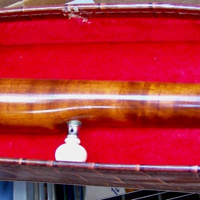 5 String Banjo with Case image 3