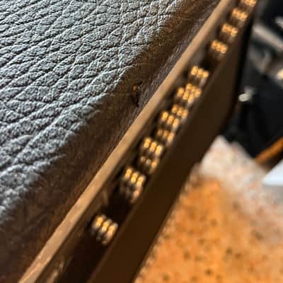 Immagine Peavey Triple XXX - 10
