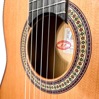Manuel Adalid Homenaje - Cedar Double top/Solid Ziricoté back/sides - Handmade in Spain - 2025 image 22