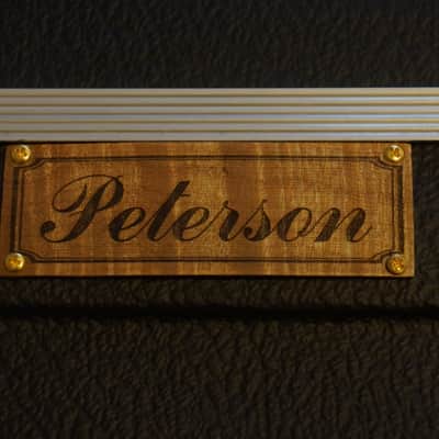 Peterson D-100 MY (2021) USA Handbuilt Boutique Acoustic Dreadnought - Fishman Matrix Infinity, OHSC image 25
