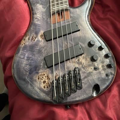Ibanez Ibanez SDGR 5-String 2021 - Purple Burl image 2