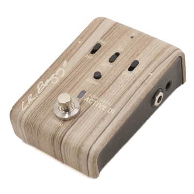 L.R. Baggs Align Series Active DI Owned by Seal image 2