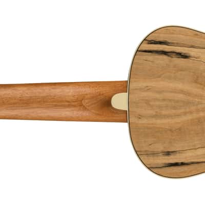 Fender Zuma Exotic Concert Ukulele Walnut FB Spalted Maple image 2