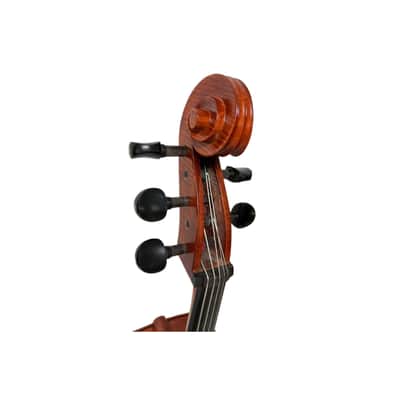 Rare Professional song maestro 5 Strings Cello 4/4, Stradivarius Model #15316 image 11