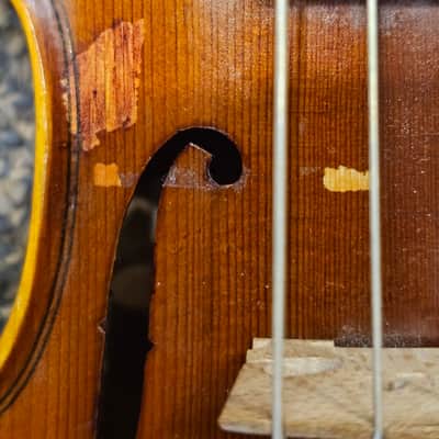 D Z Strad Model LC200 (Rental Return) 1/8 Size image 8