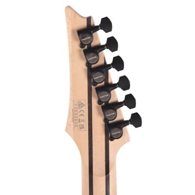 Ibanez RG8620AHAGF RG J. Custom Electric Guitar Anvil Gray Burst Flat (Serial #210001F2533829) image 7