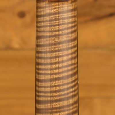 Music Man Jason Richardson | Cutlass - Natural Buckeye Burl image 7
