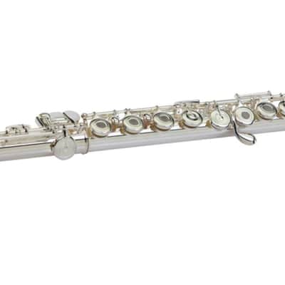 Pearl *Pre-Order* Flute Quantz 665 Series Offset-G/B-Foot/Open Hole Maintenance Kit, Case | WorldShip | Special Order | Authorized Dealer image 4