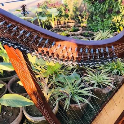 22-String Solid Rosewood Harp with Extra Strings & Padded Carrying Case - Perfect for Beginners image 2