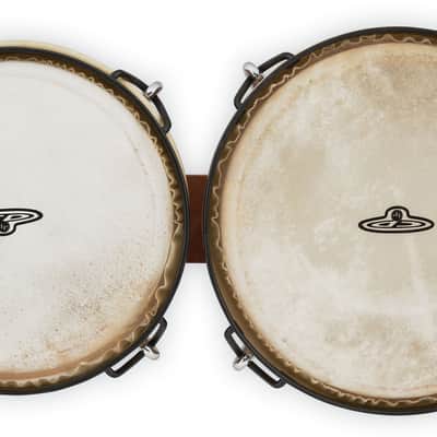 Latin Percussion LP CP Trad 6" - 7" Bongo Oak Natural Black (CP221-AW) image 7