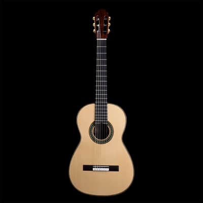 Kenny Hill Torres 2023-Spruce/Indian Rosewood-640 image 1