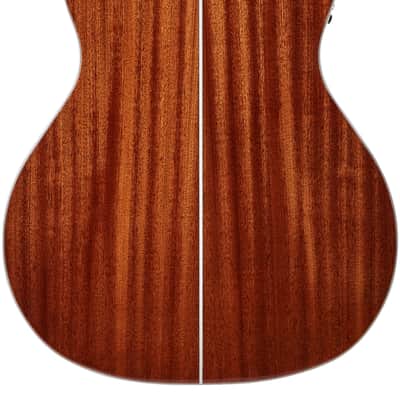 D'Angelico Premier Gramercy Std. IcedTeaBurst image 2