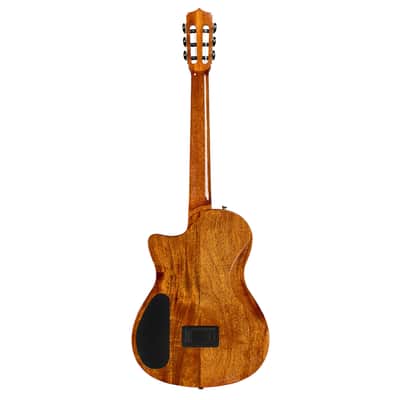 Cordoba Stage Artist Nylon-String Electric Guitar - Agave Burst image 8