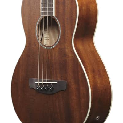 Ibanez PNB14E-OPN PN Performance Acoustic Bass 4-String - Open Pore Natural Mahogony image 9
