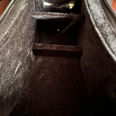 Beautiful 4/4 Panis Angelicus Cello w/ Bow & Hard Rolling Case image 21