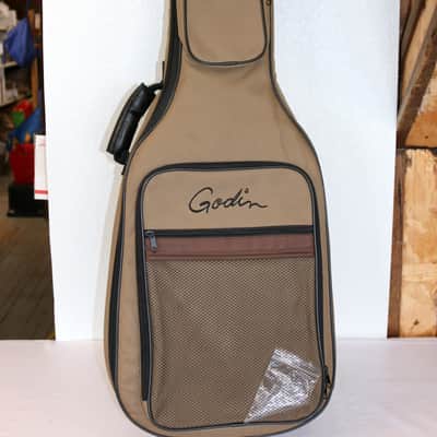 Godin Exit 22 Electric Guitar Satin Natural Rosewood Fretboard With Gigbag image 13