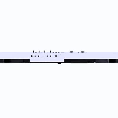 Korg Liano LIVE! image 6