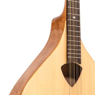 Gold Tone BZ-500 Folkternative Design Solid Spruce Top Irish Bouzouki Mandolin with Hardshell Case image 6