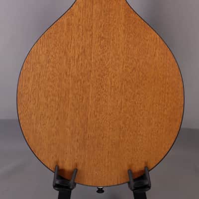 Eastman PCH-M104 Mandolin: Solid Sitka Spruce Top, Laminate Mahogany back and sides 2026 image 7