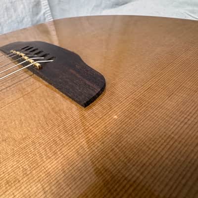 Godin Multiac Grand Concert SA Nylon String Classical Guitar with Case 2012 image 18