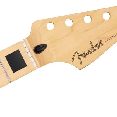 Immagine FENDER - Player Series Stratocaster Neck w/Block Inlays  22 Medium Jumbo Frets  Maple - 0994552921 - 3